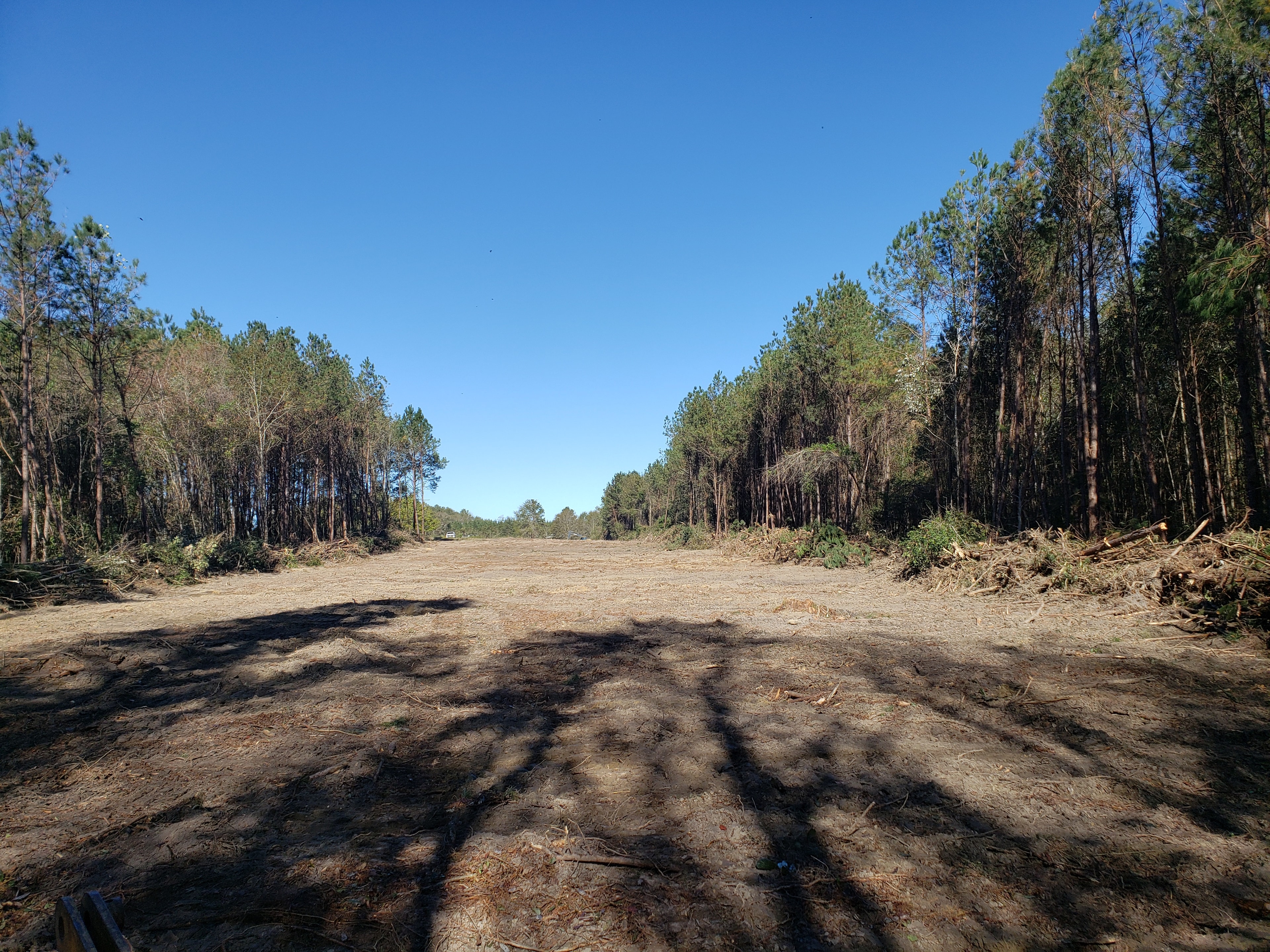 Land Clearing